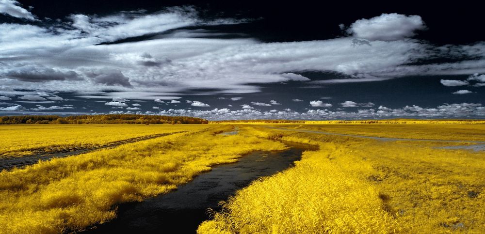 Маленькая речка под большим небом. Инфракрасная фотография.