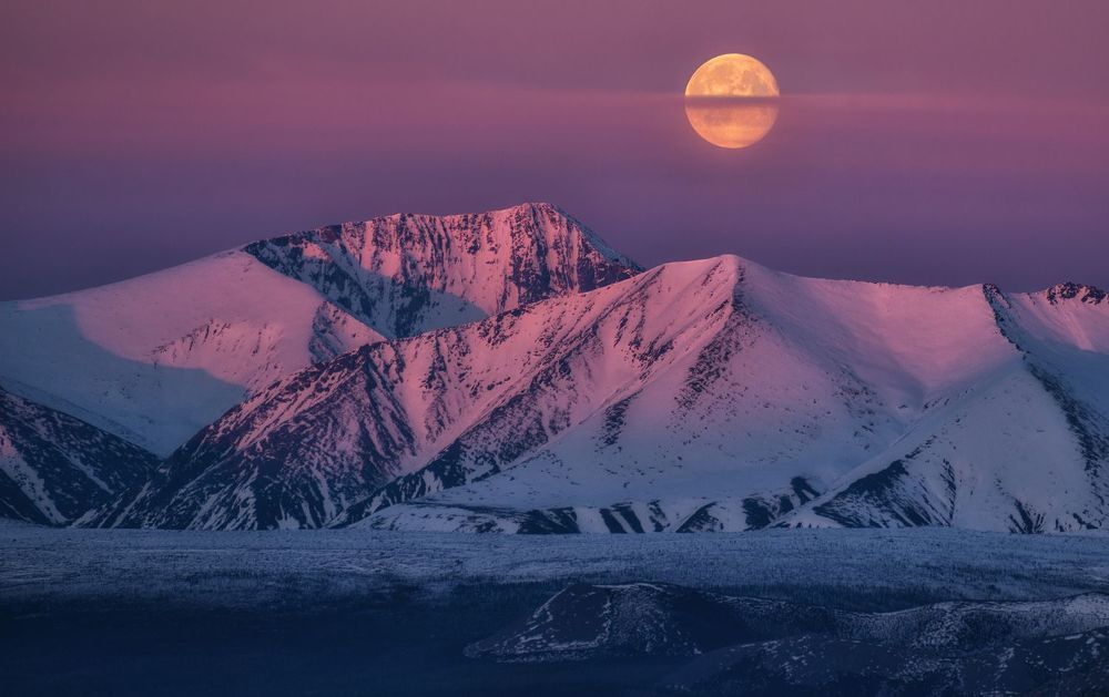 Королевство полной луны.
