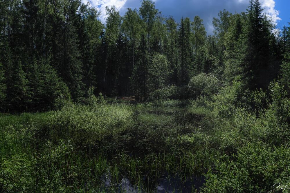 Photo 1129611