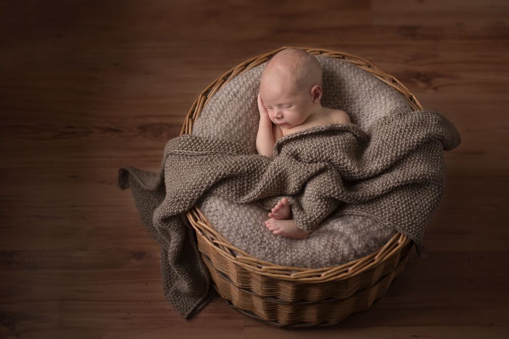 Photo 1132129