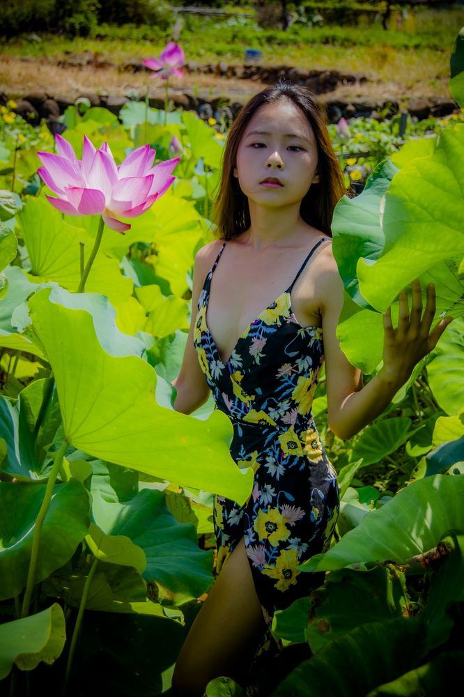 lotus