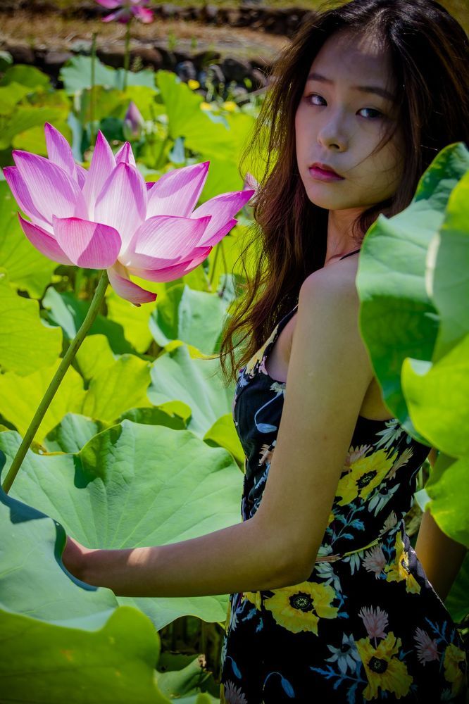 lotus