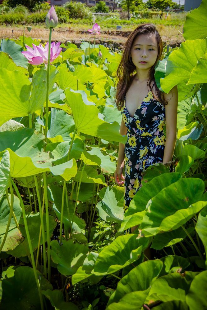 lotus