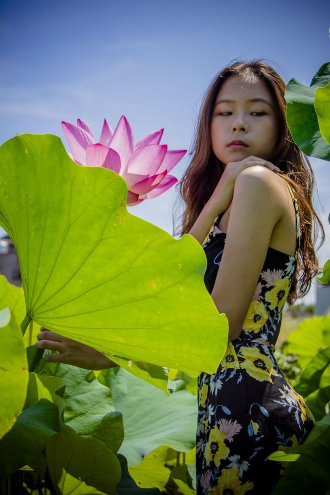 lotus