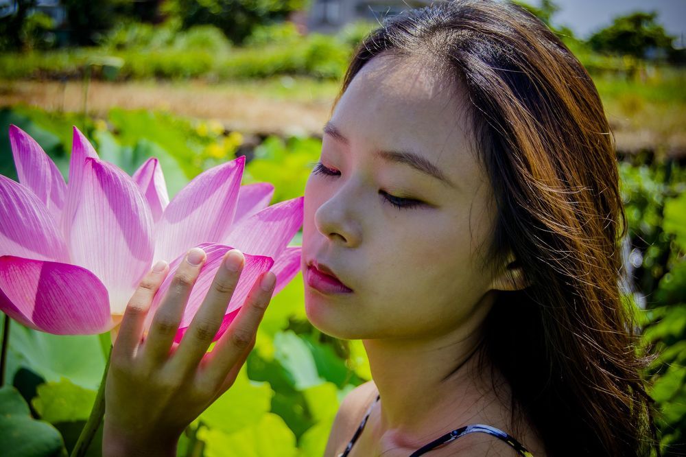 lotus