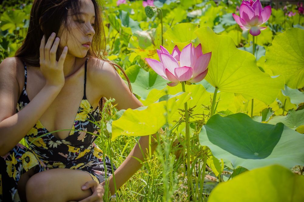 lotus