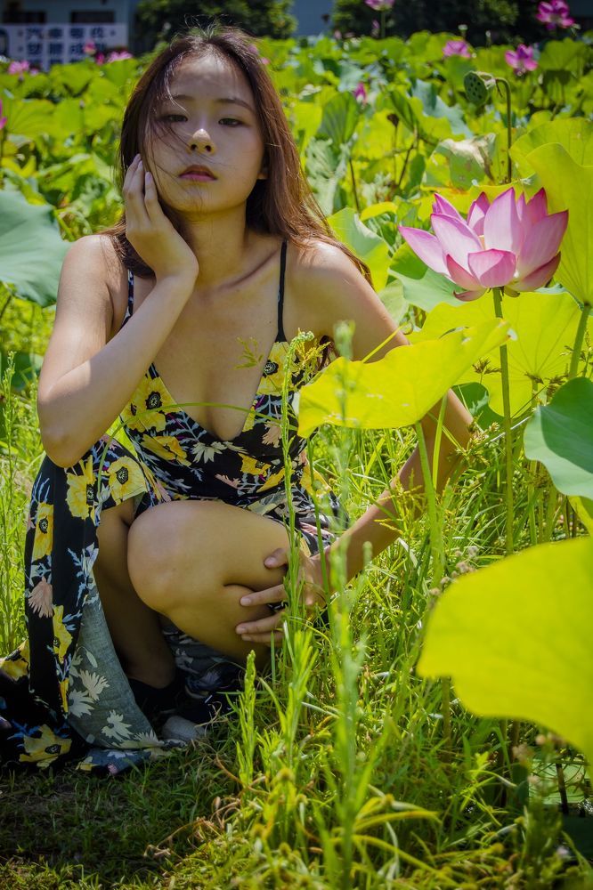 lotus