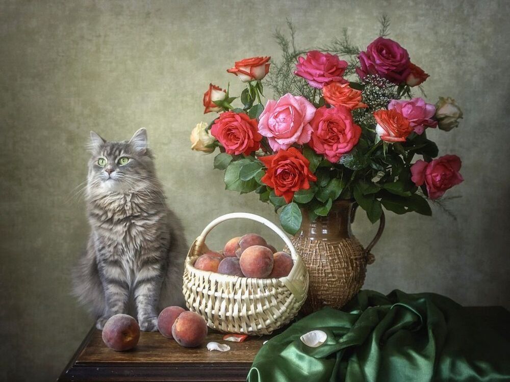 Любование красотой