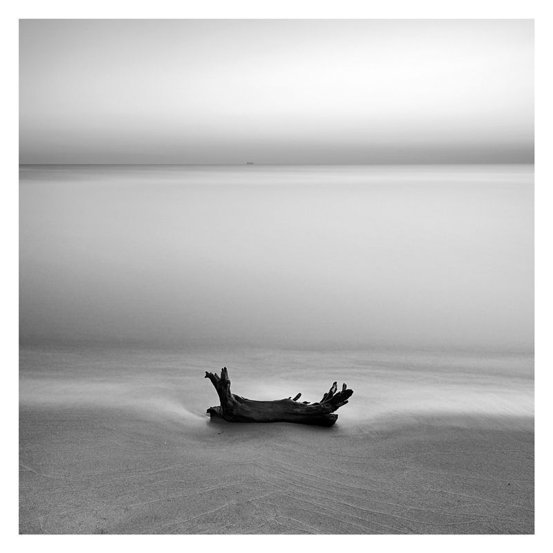 Photo 1133754