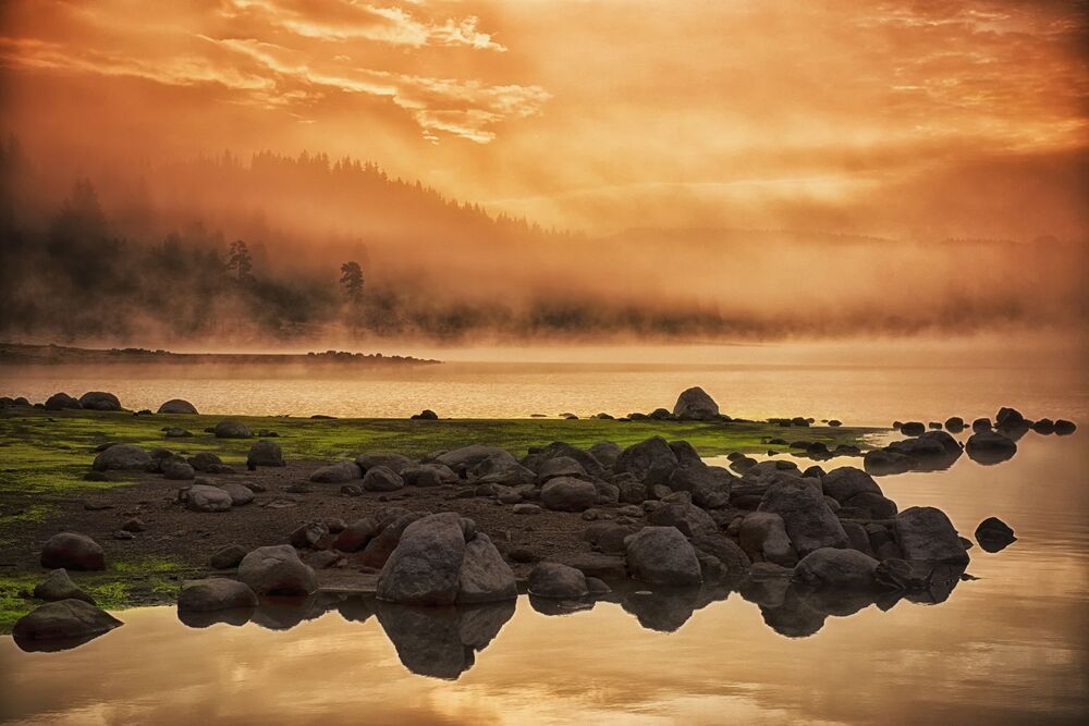 Landscapes