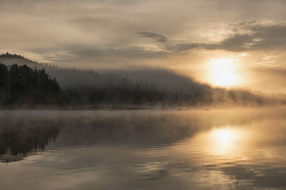 Landscapes