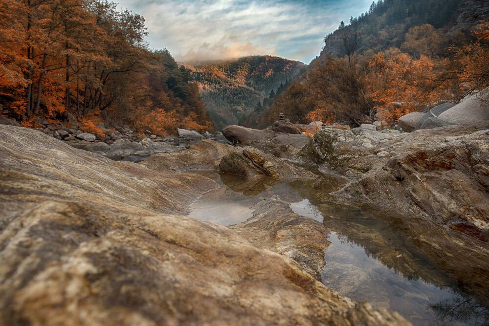 Landscapes