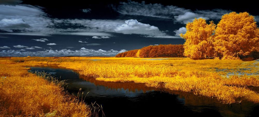 Обычный день. Инфракрасная фотография.