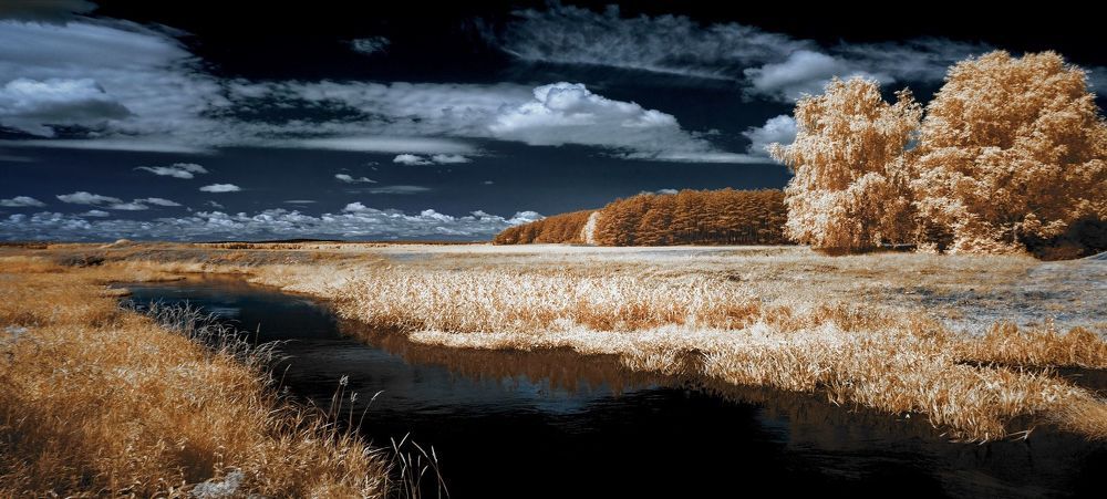 Обычный день. Инфракрасная фотография.