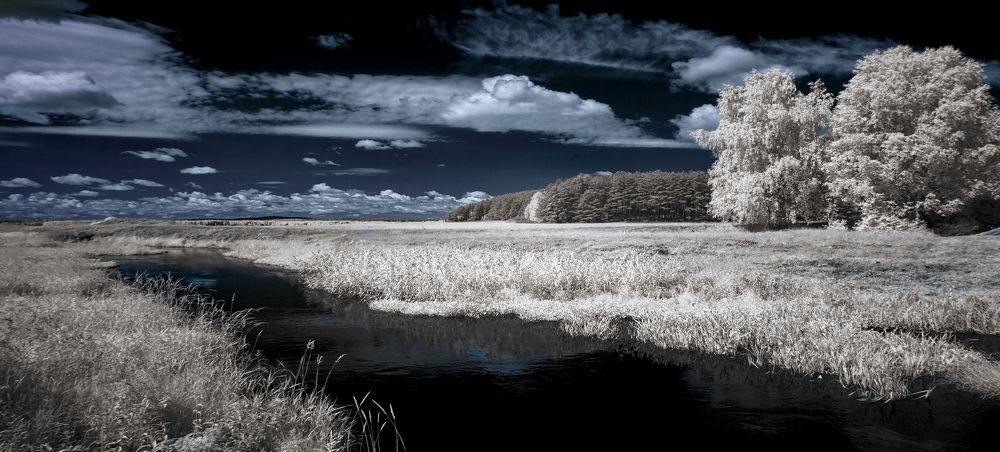 Обычный день. Инфракрасная фотография.