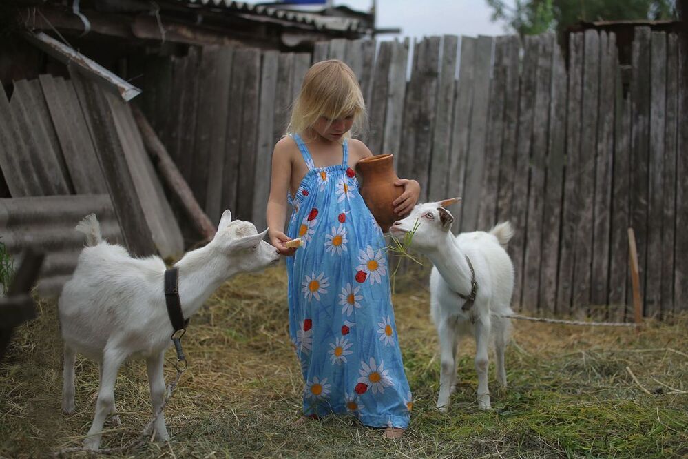 Деревенские зарисовки.