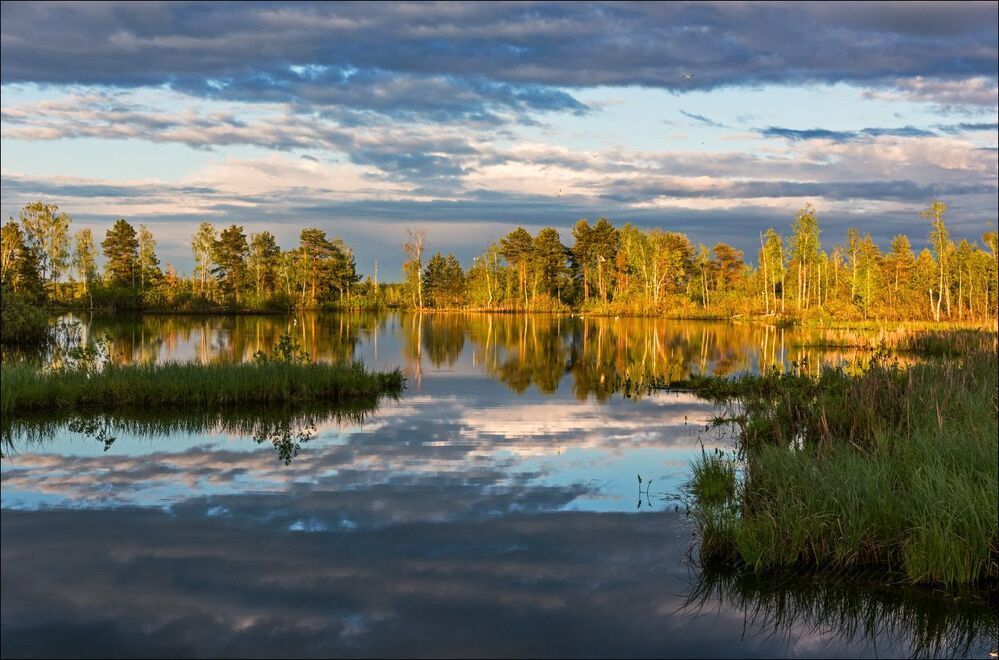 Стихло под вечер