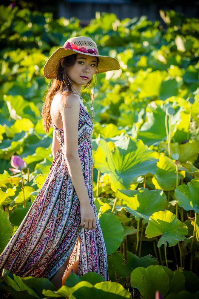 The dress in the lotus