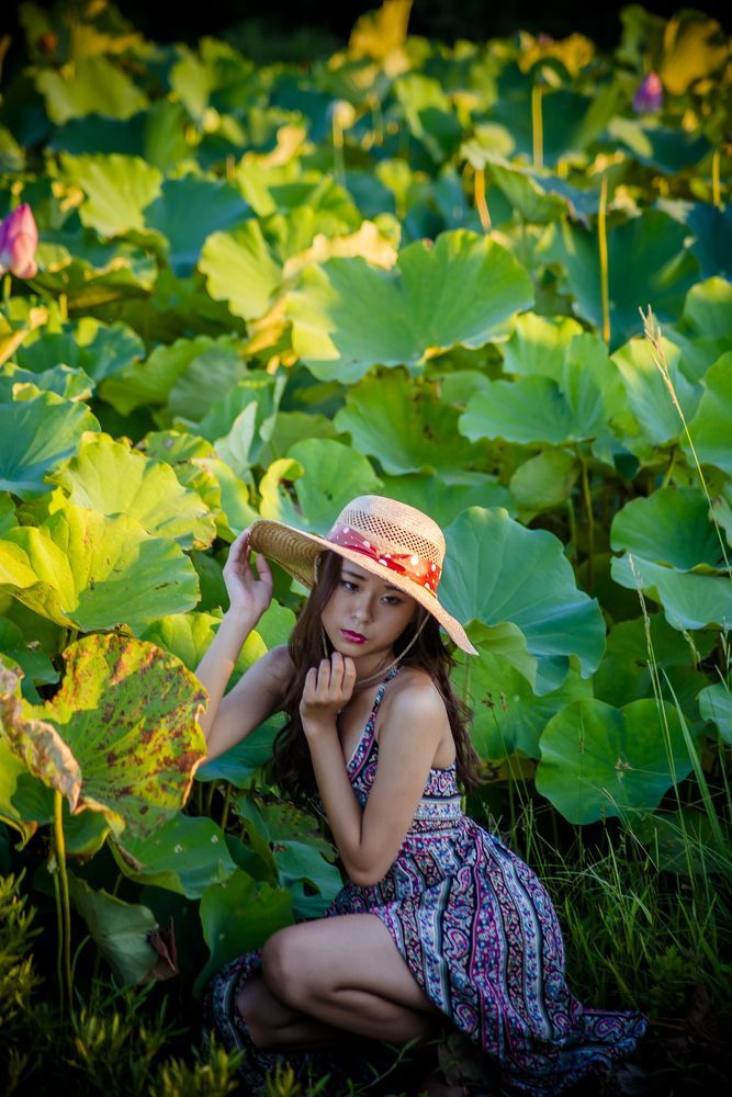 The dress in the lotus
