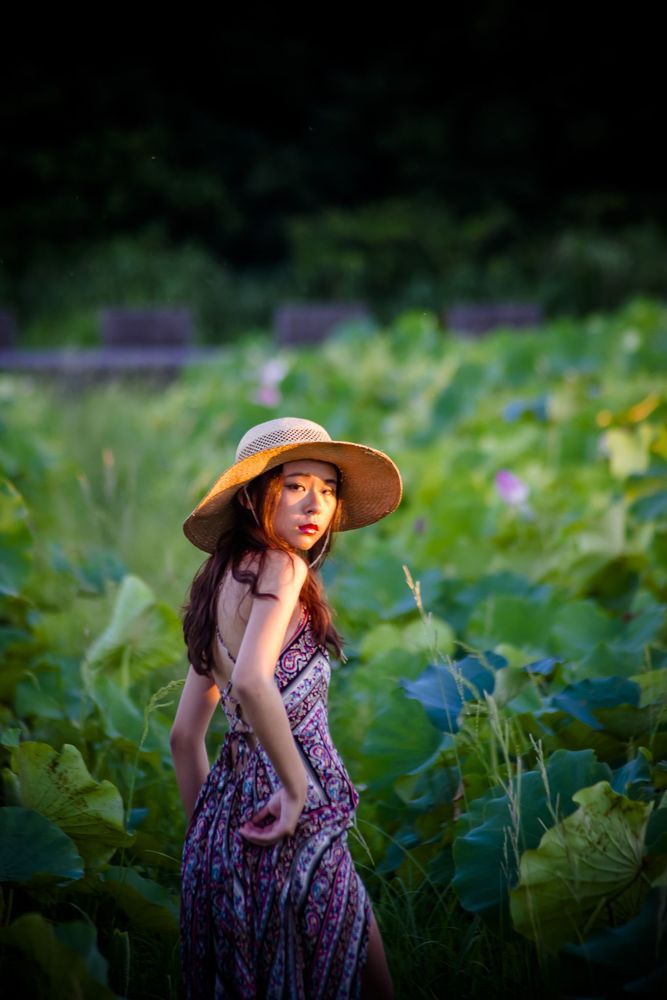 The dress in the lotus