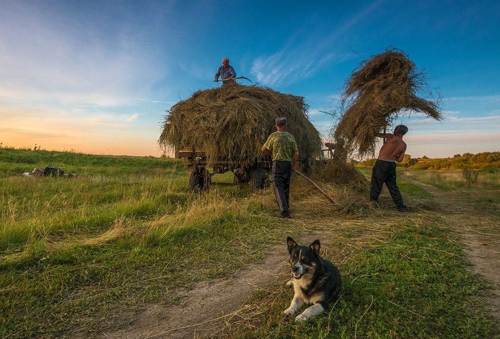 Сенокосная пора...