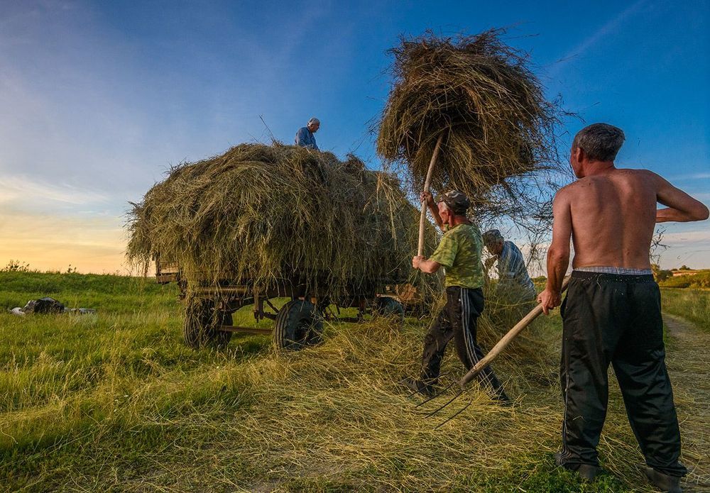 Сенокосная пора...
