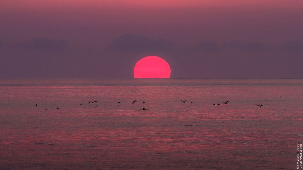 Вечер на берегу Черного моря