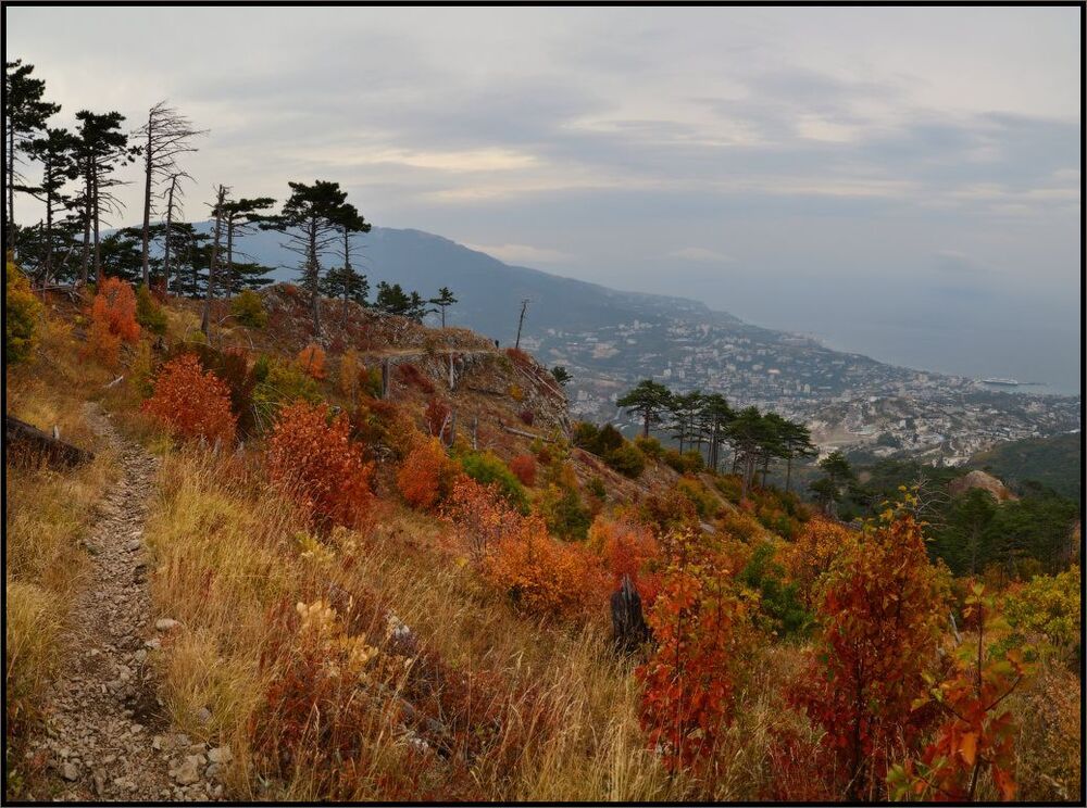 Осень над Ялтой