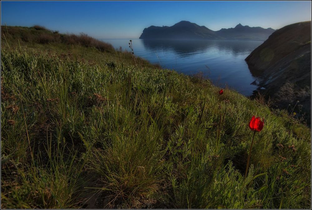 Весна в Крыму