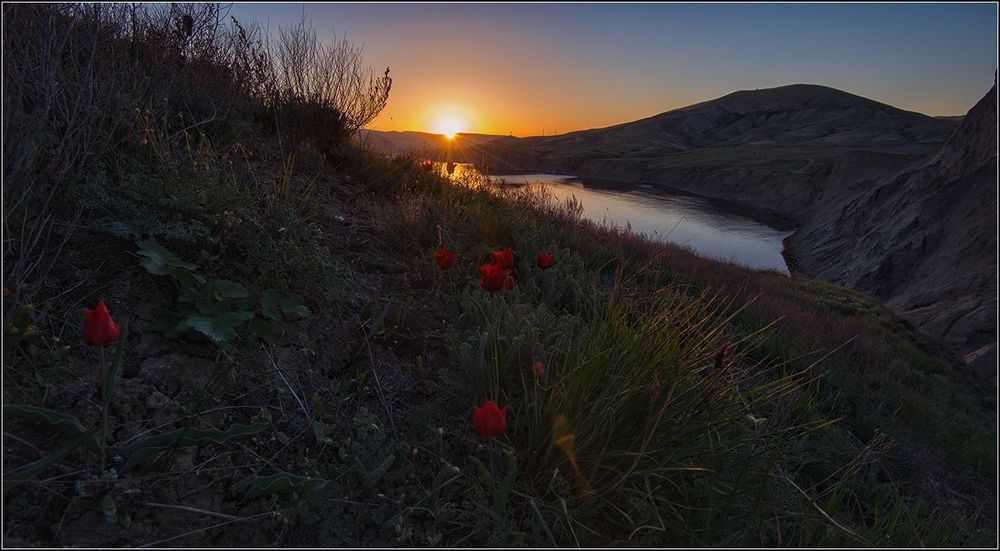 Весна в Крыму
