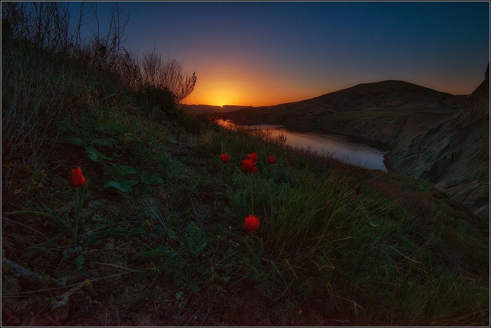 Весна в Крыму
