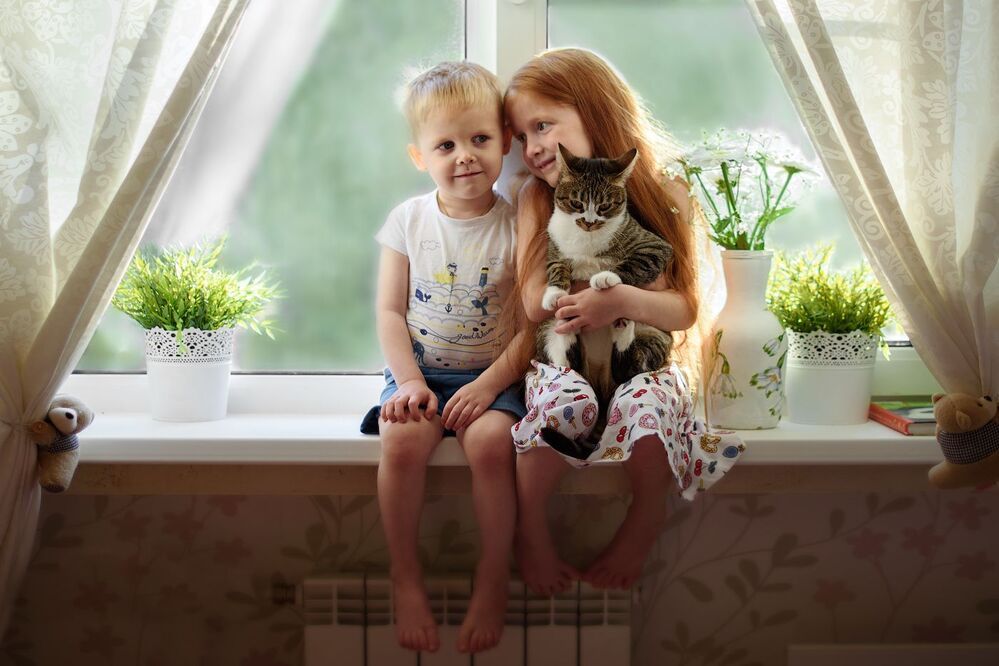 На окне с солнцем