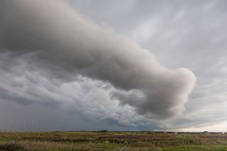 4 июня 2015-го