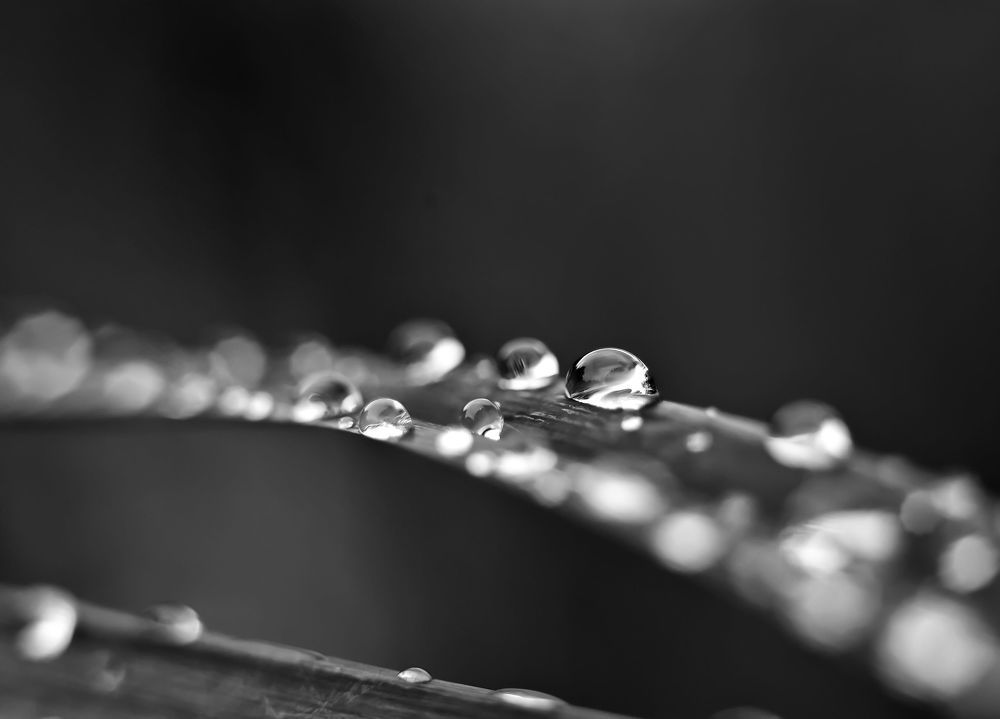 Photo 1141609