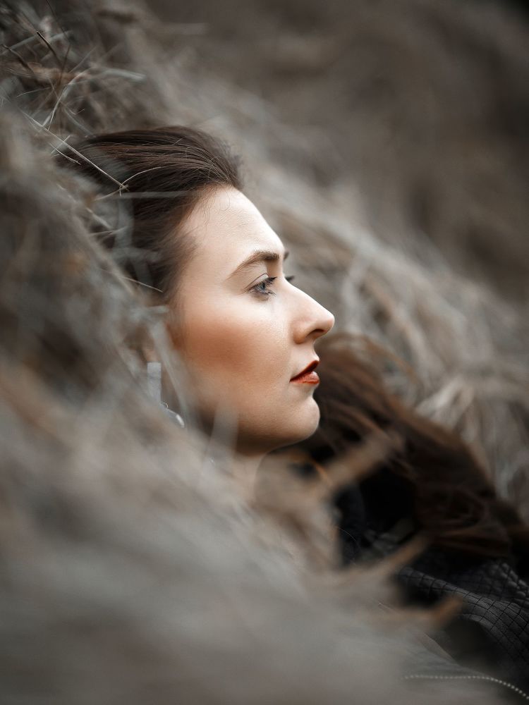 Photo 1141610