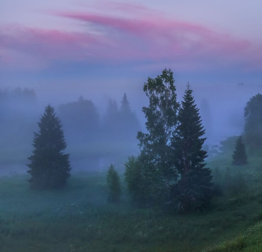 Туманные сумерки после дождя