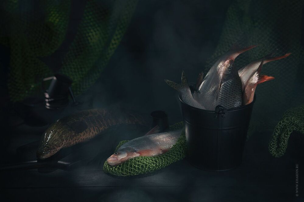 Photo 1142086