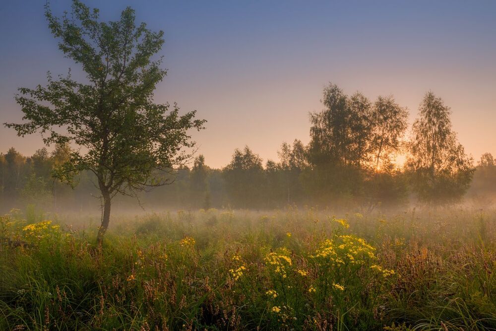 Мгновения рассвета
