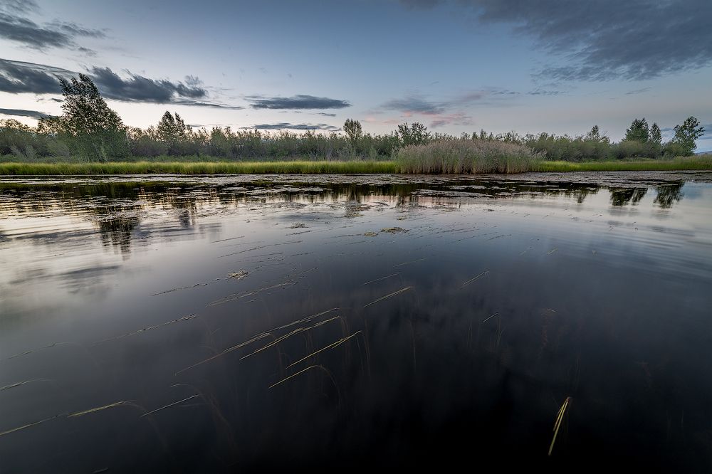 Вечерняя прогулка за город