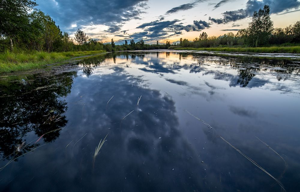 Вечерняя прогулка за город