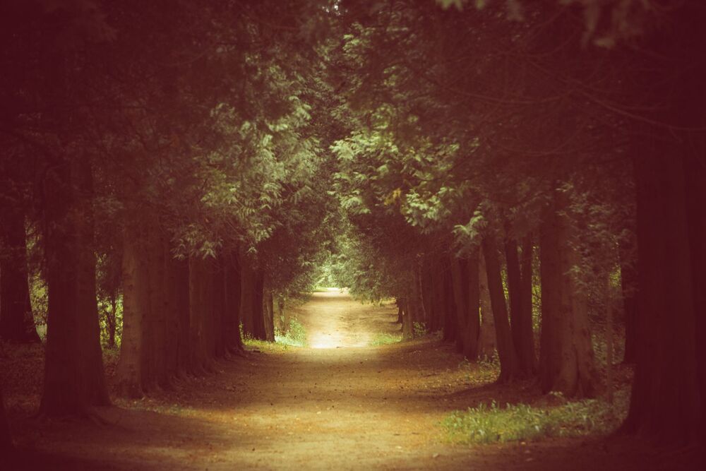 welcome to my world