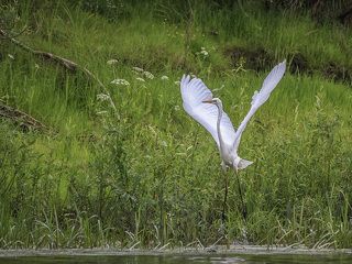 Как я рада видеть вас!