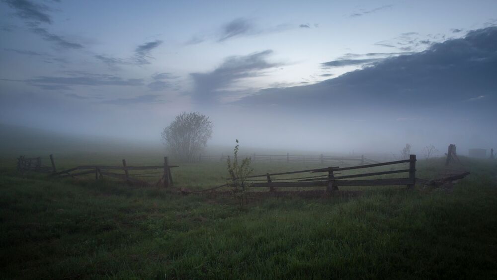 Photo 1144629