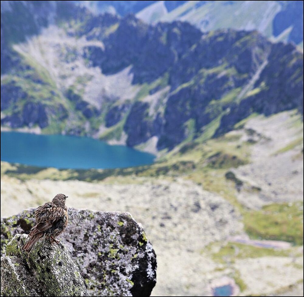 Mountains Tatry