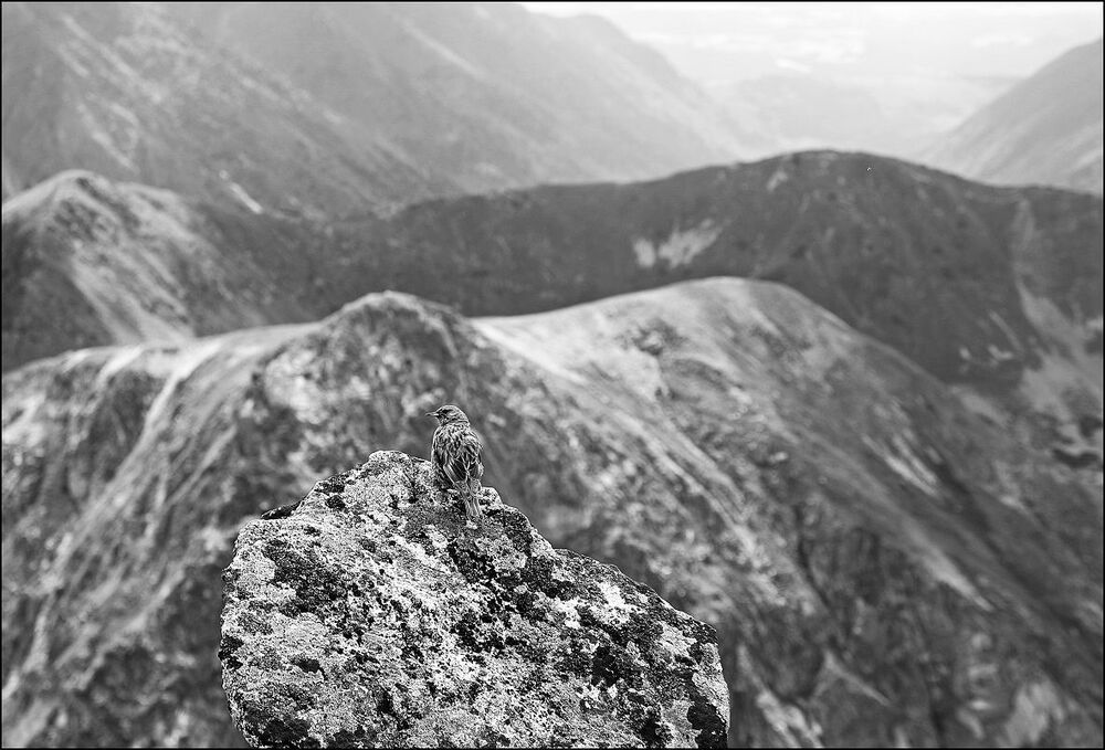 Mountains Tatry