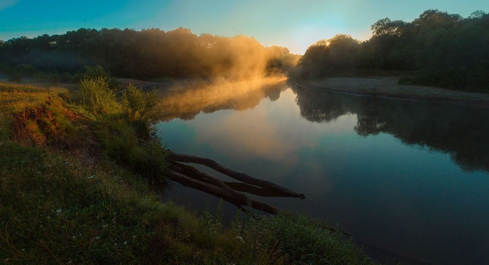 Photo 1147241