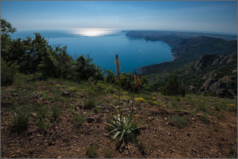Крымские зарисовки