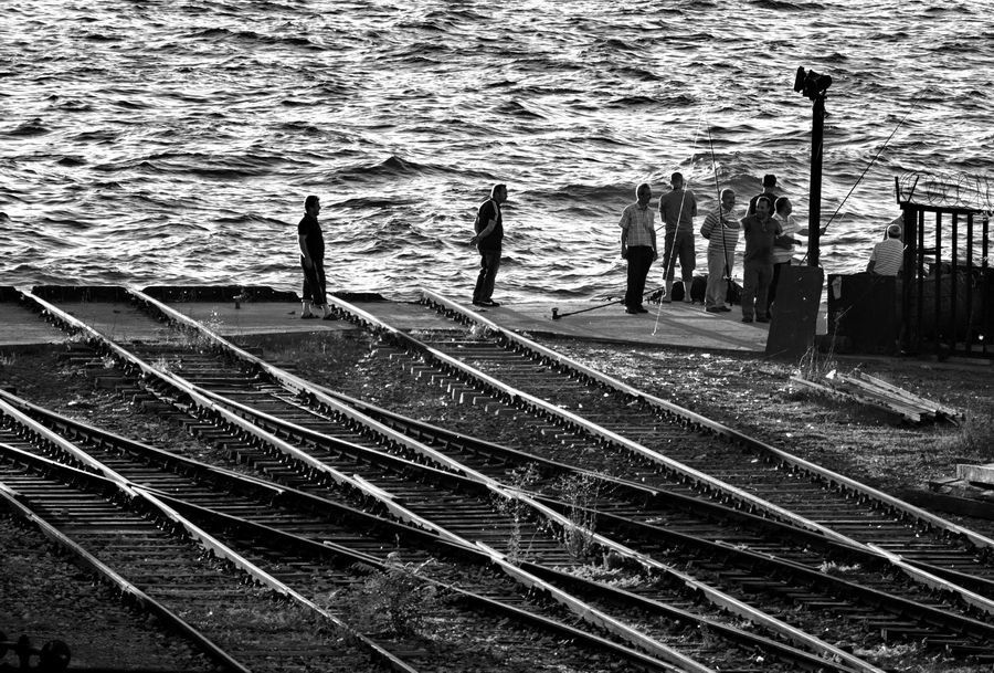 Photo 1147749
