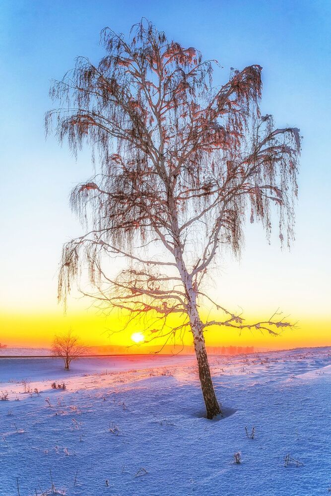 Зимние зарисовки