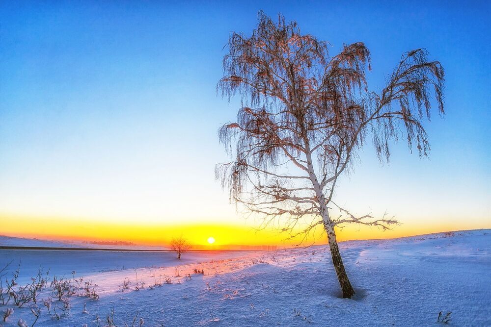 Зимние зарисовки